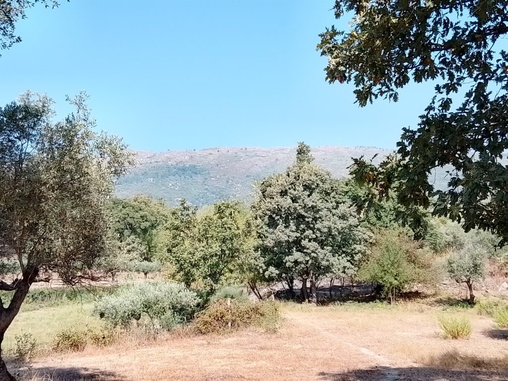 Home Land 5 Of 5 1 1024x768