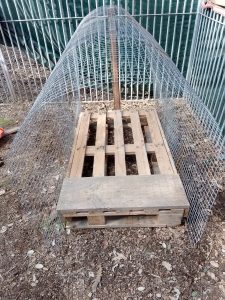 {"capture mode":"automodule","faces":[]}