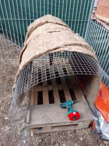 {"capture mode":"automodule","faces":[]}