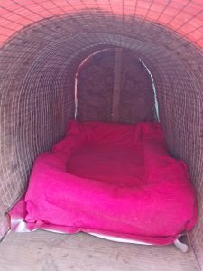 {"capture mode":"automodule","faces":[]}