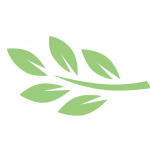 leaf motif horzontal flipped