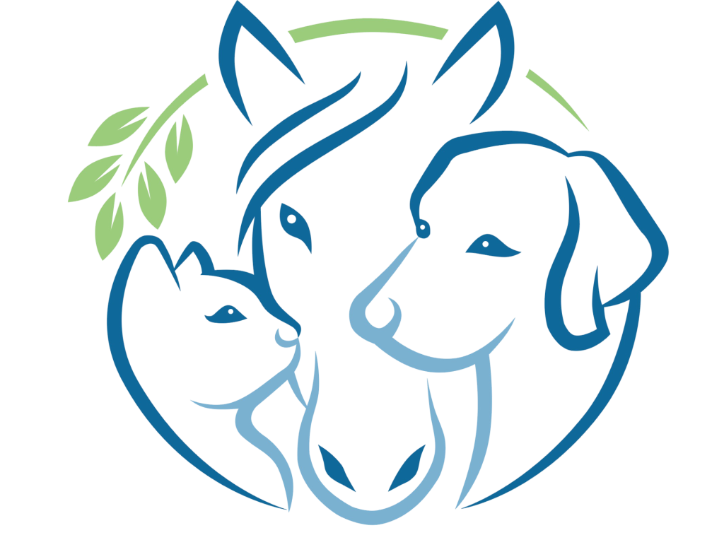 oasis final transparent no text oasis final transparent no text