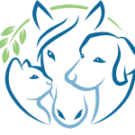 Home oasis final transparent no text